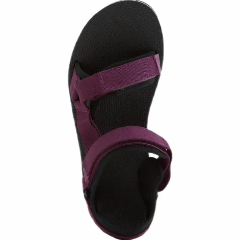 Universal Trail Purple