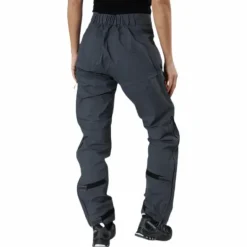 Vislight C Pant Grey